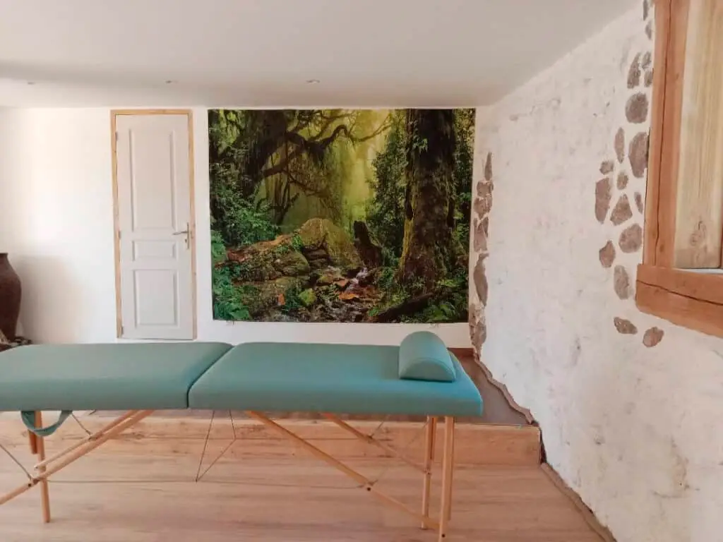 Aux Belles âmes: room for hire in Auvergne-Rhône-Alpes