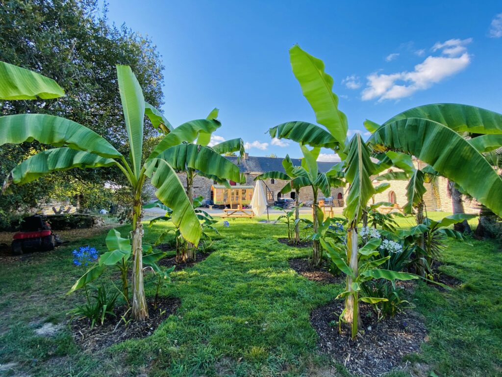Le Jardin Zen du Quistillic in the heart of Brittany: Feng Shui training, spiritual retreats, team building, hire and exclusive use, a SACRED PLACE