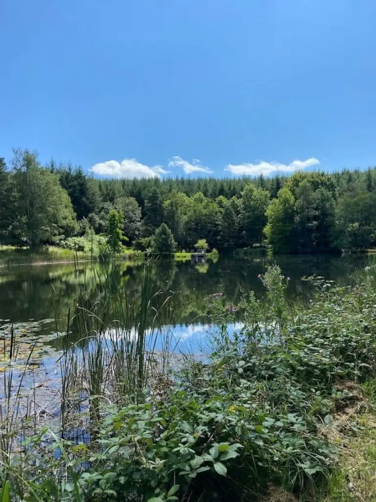 Les Brizards, Morvan, Bourgogne