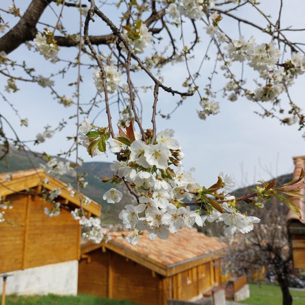 Village de chalets Le Pré Martin à Annot, Alpes de Haute Provence