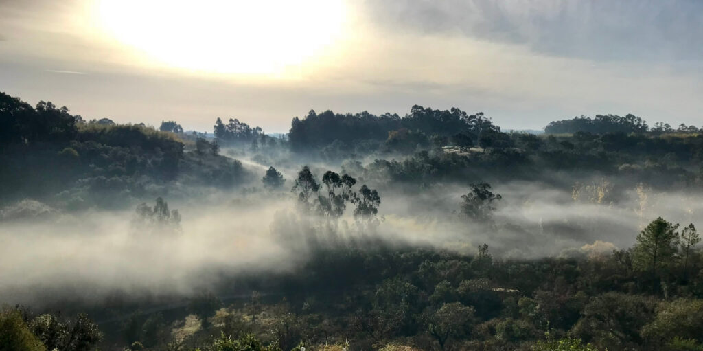 Bambu Parque: retreat venue in Portugal