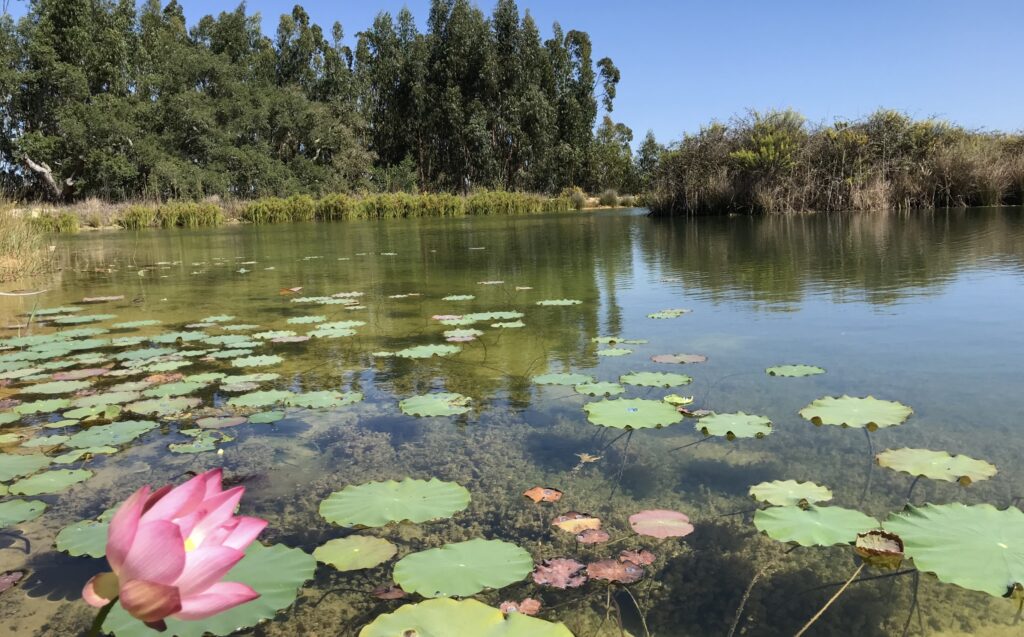 Bambu Parque: retreat venue in Portugal
