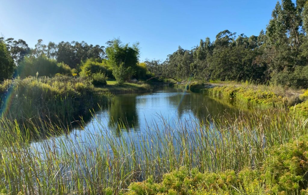Bambu Parque: retreat venue in Portugal