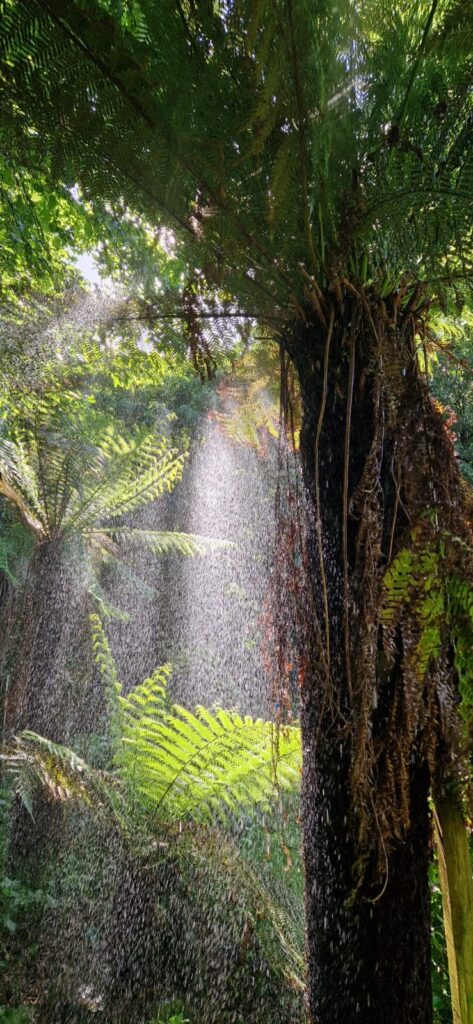 Le Jardin Zen du Quistillic in the heart of Brittany: Feng Shui training, spiritual retreats, team building, hire and exclusive use, a SACRED PLACE