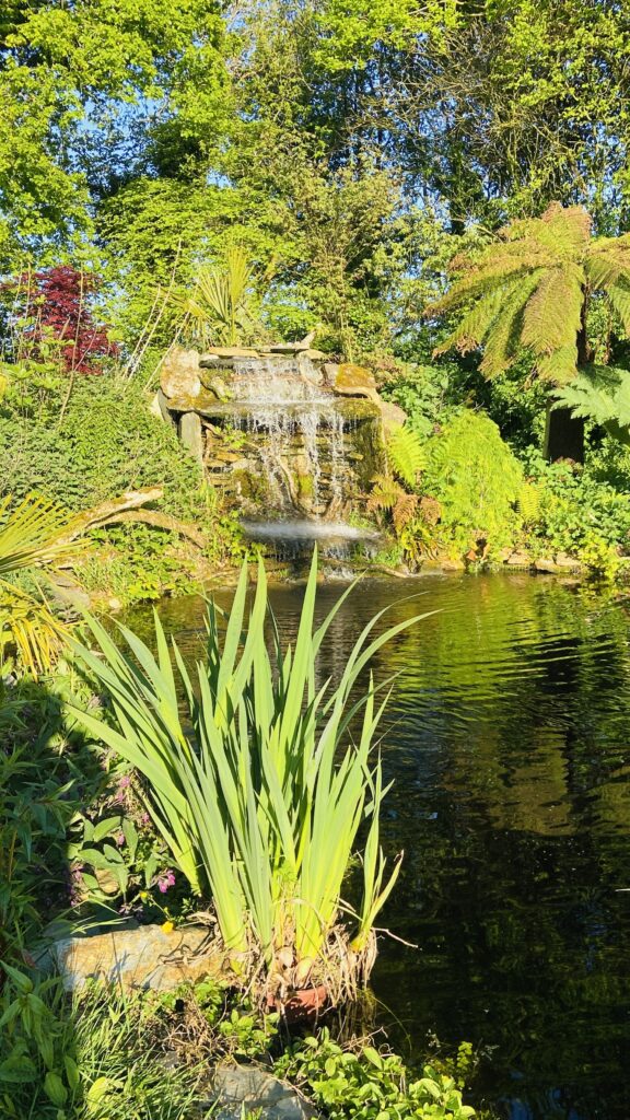 Le Jardin Zen du Quistillic in the heart of Brittany: Feng Shui training, spiritual retreats, team building, hire and exclusive use, a SACRED PLACE