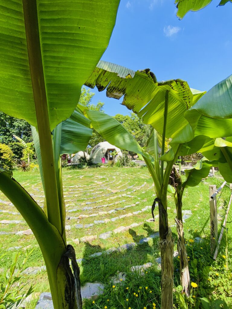 Le Jardin Zen du Quistillic in the heart of Brittany: Feng Shui training, spiritual retreats, team building, hire and exclusive use, a SACRED PLACE