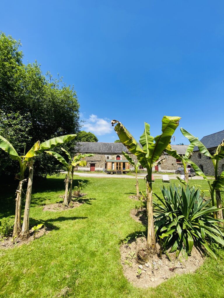 Le Jardin Zen du Quistillic in the heart of Brittany: Feng Shui training, spiritual retreats, team building, hire and exclusive use, a SACRED PLACE