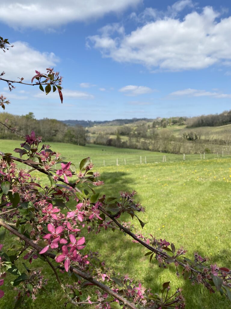 Domaine de Villot, Lot-et-Garonne