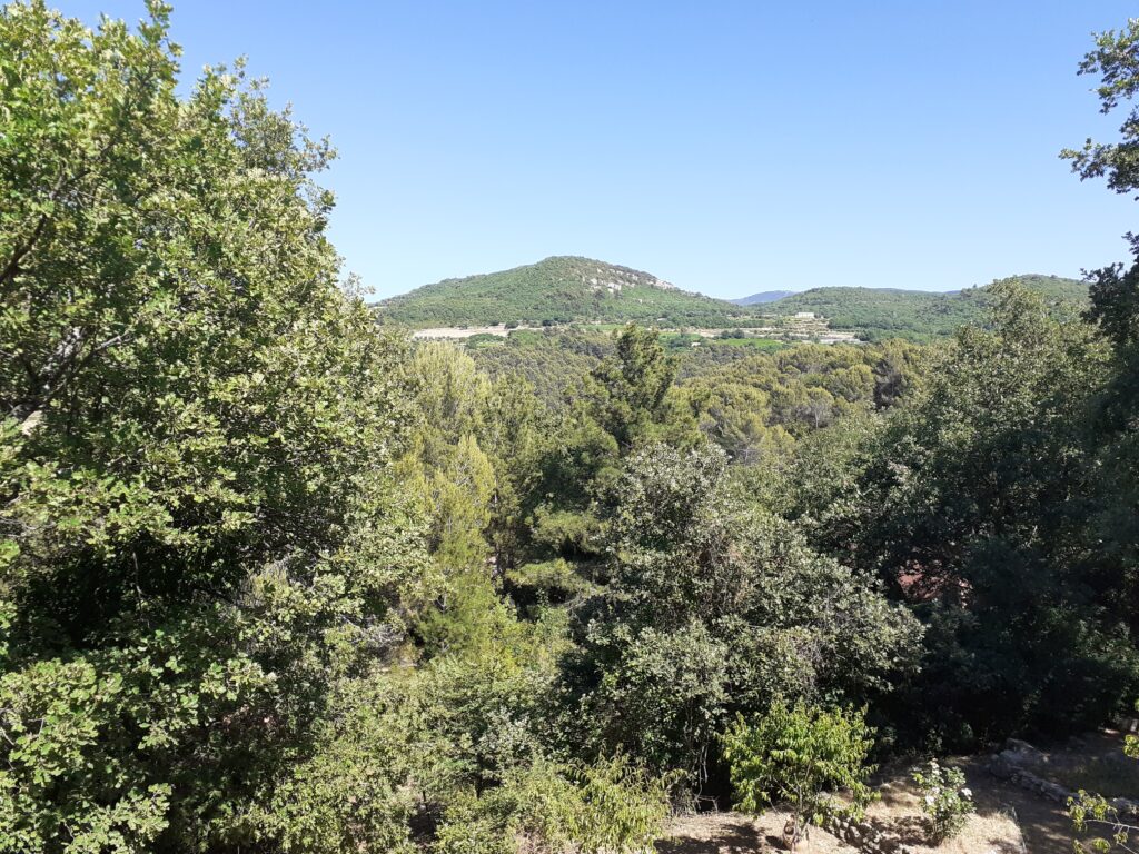 Le jardin de l’Eveil -84400- APT- Luberon