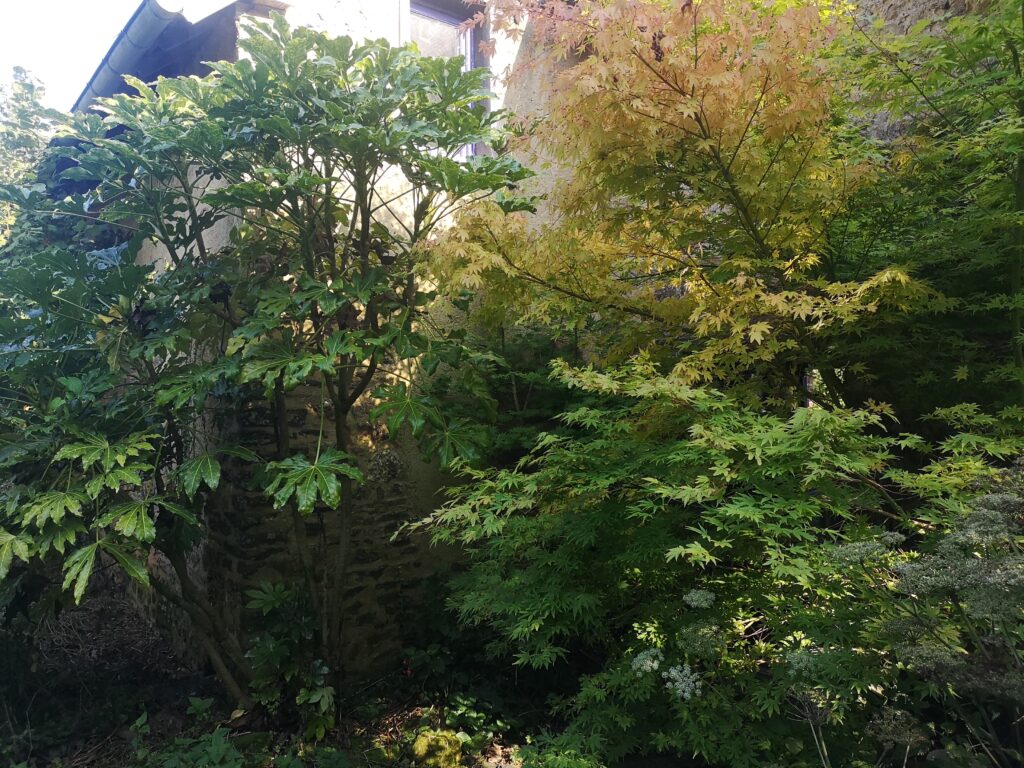 L’Arbre qui Danse la Pluie in Manche, Normandy