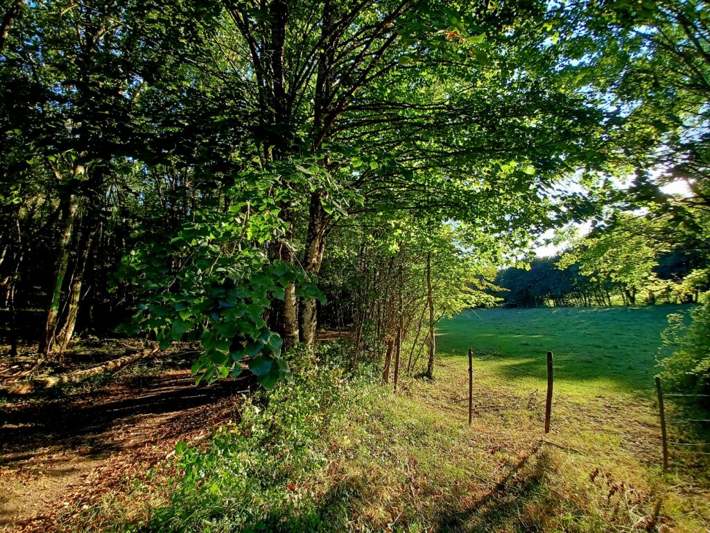 Le Moulin de Beaumont, countryside workshops and retreats in southern Touraine