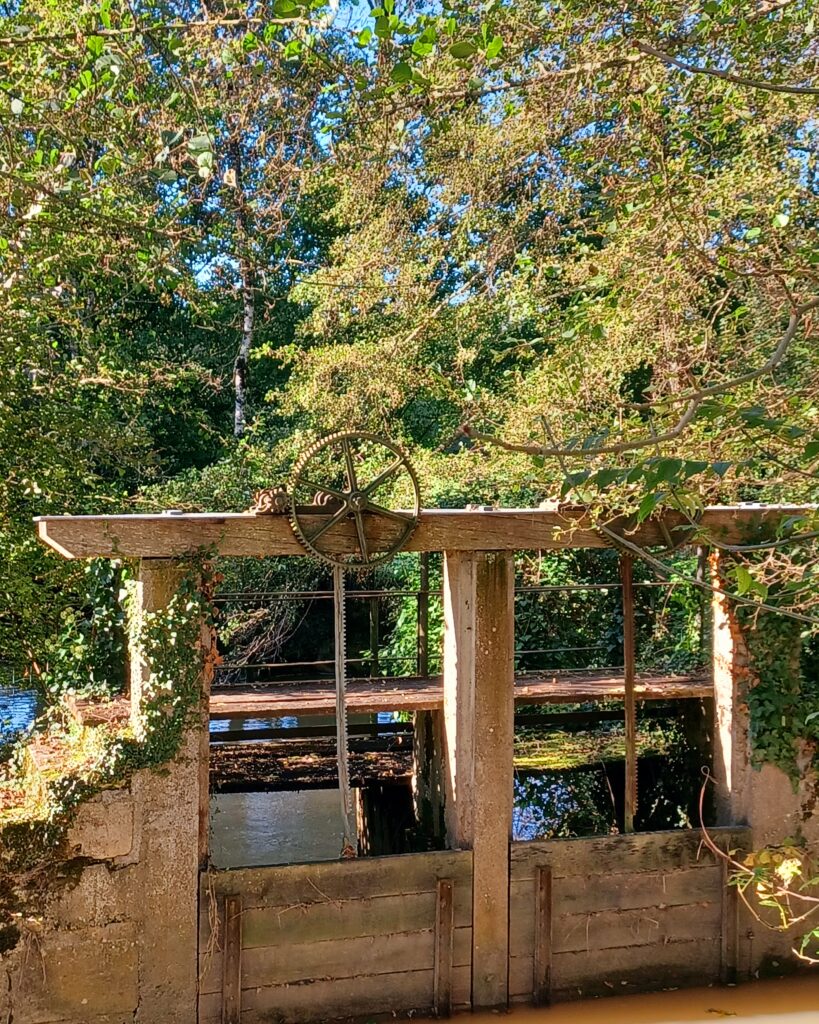 Le Moulin de Beaumont, countryside workshops and retreats in southern Touraine