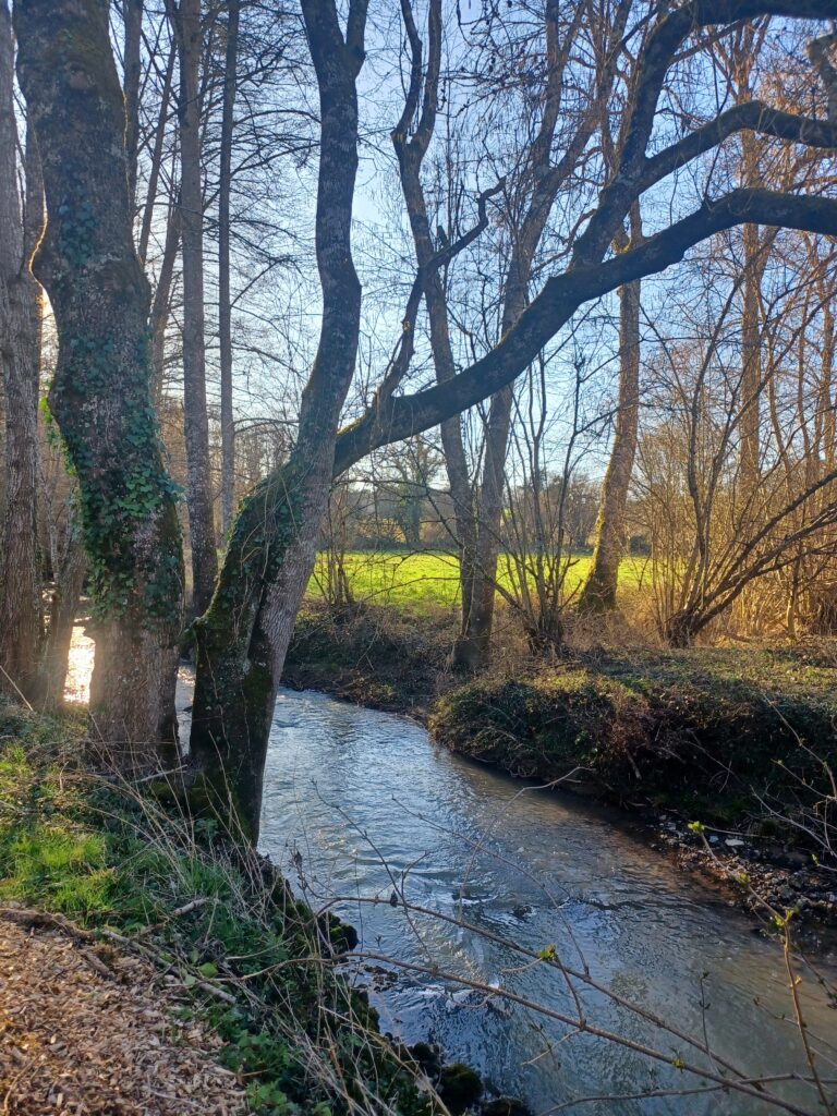 Le Moulin de Beaumont, countryside workshops and retreats in southern Touraine