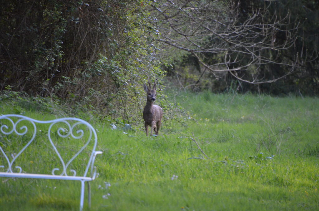 Le Moulin de Beaumont, countryside workshops and retreats in southern Touraine