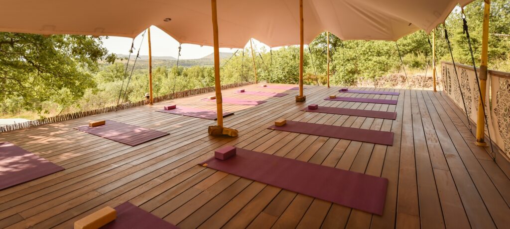 Zen & Sounds in the South of France