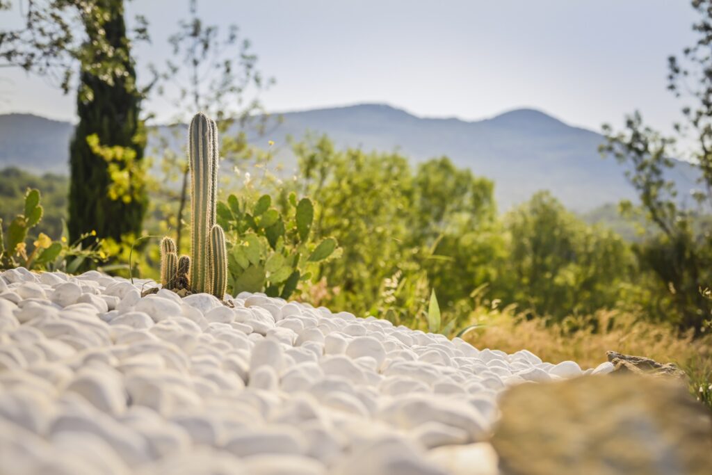 Zen & Sounds in the South of France