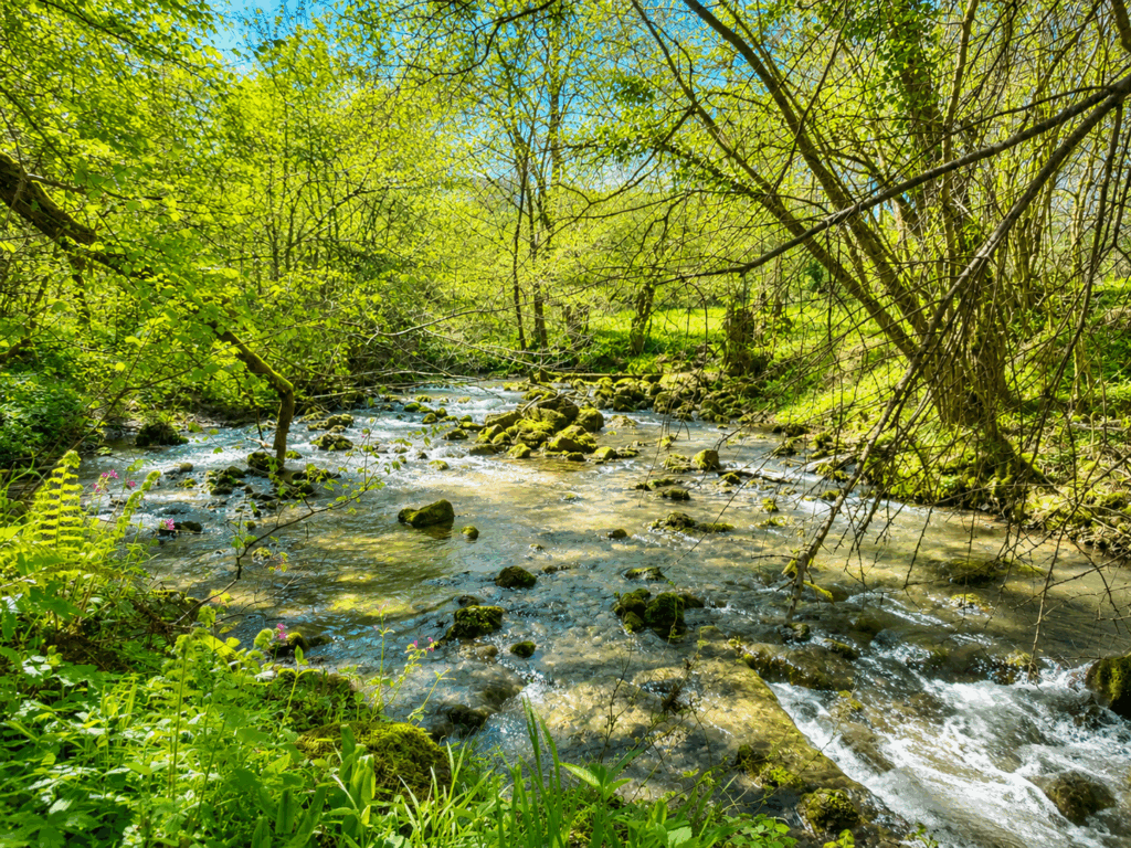 Shanti Lake – Lieu de stages et retraites en Ariège