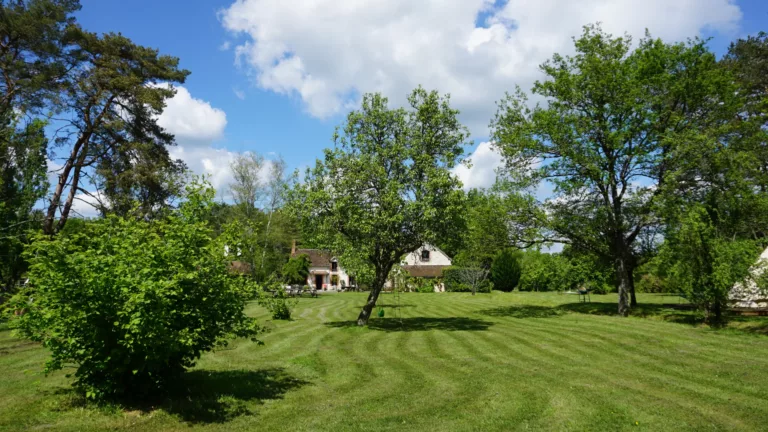 Accueil -